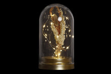 Imaginea se incarca, DECORATIUNE LUMINOASA
