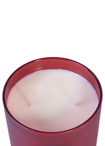 2 IN 1 BODY LOTION CANDLES PROVENCE LAVENDER