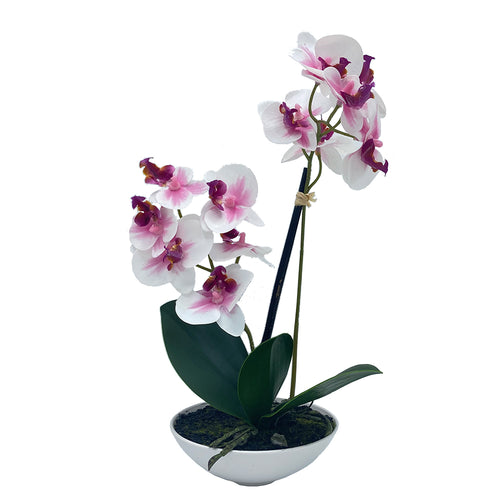 GHIVECI ORCHIDEE - decoratiuni